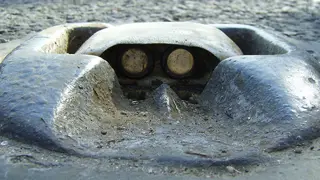 Catseyes.